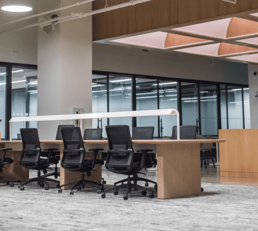 Clean and Tidy Workplace